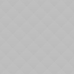 Pet Friendship Story