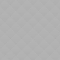 PetRescue Pet of the Week: Rogger