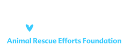 animalrescueeffortsfoundation.org